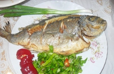 Çipura Balığı Nasıl Pişirilir Tarifi ve Malzemeleri Çipura Balığı Nasıl Pişirilir Tarifi ve Malzemeleri