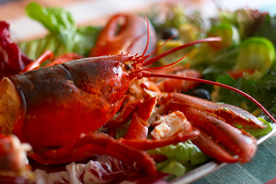 Istakoz Nasıl Pişirilir Tarifi ve Malzemeleri