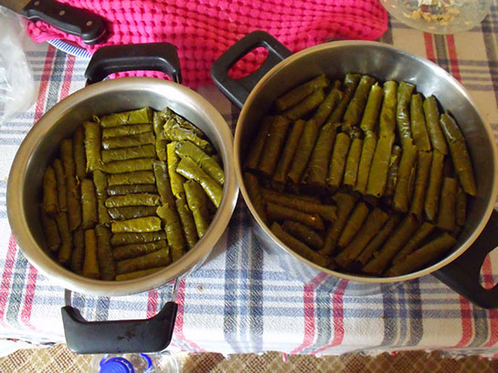 Sarma Nasıl Pişirilir? pisirmek.gen.tr